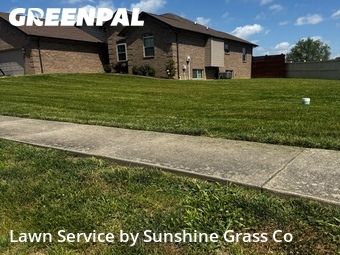 Lawn Mow nearby Speed, IN, 