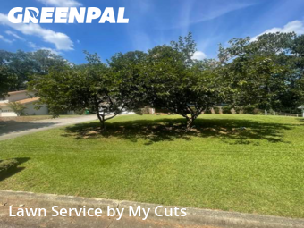 Lawn Cutting nearby Decatur, GA, 