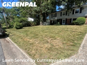 Grass Cut nearby Virginia Beach, VA, 
