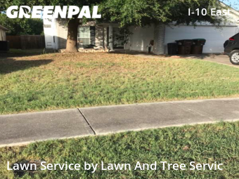 Lawn Cut nearby Converse, TX, 