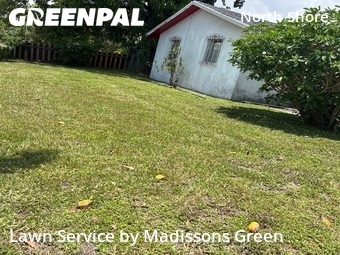 Affordable Landscaping Maintenance Services In West Palm Beach,33407,Landscape Design by Madissons Green, work completed in Jun , 2026