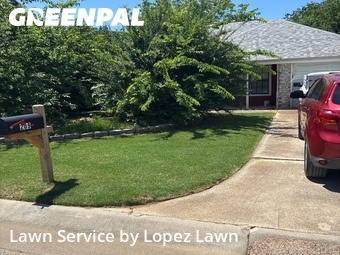 Lawn Servicein Denton,76209,Lawn Mowing Service by Lopez Lawn, work completed in Jun , 2026