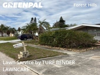 Lawn Mowing Service nearby Holiday, FL, 