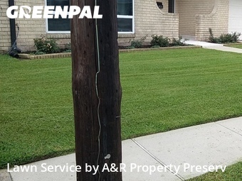 Grass Cut nearby Metairie, LA, 
