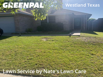 Lawn Cut nearby Fort Worth, TX, 