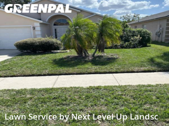 Grass Cutting nearby Clermont, FL, 