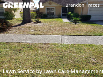 Lawn Service nearby Brandon, FL, 