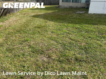 Lawn Cut nearby Tampa, FL, 