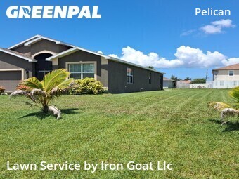 Lawn Cut nearby Cape Coral, FL, 