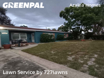 Yard Cutting nearby St. Petersburg, FL, 