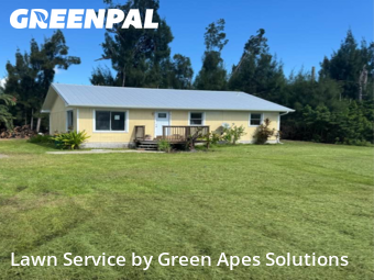 Lawn Mowing in Port Charlotte, 33953, Weed Trimming by Green Apes Solutions, work completed in Nov , 2025