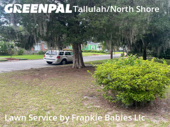 Lawn Cut nearby Jacksonville, FL, 