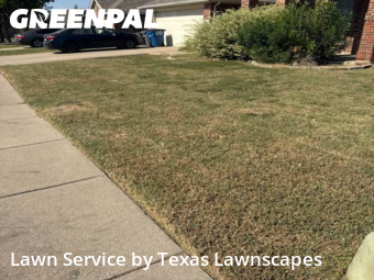 Lawn Servicein Wylie,75098,Lawn Cut by Texas Lawnscapes, work completed in Jan , 2026