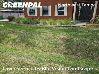Grass Cutting nearby Tampa, FL, 