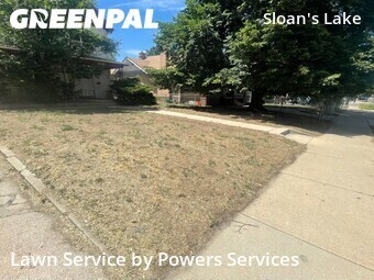Grass Cut nearby Denver, CO, 