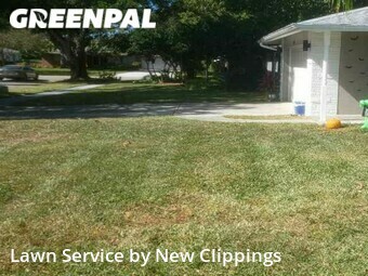 Lawn Care Service nearby Clearwater, FL, 