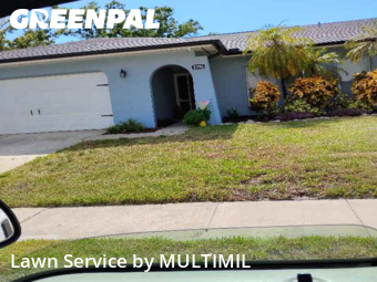 Lawn Mow nearby Palm Harbor, FL, 