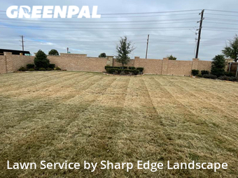Lawn Cut nearby Frisco, TX, 