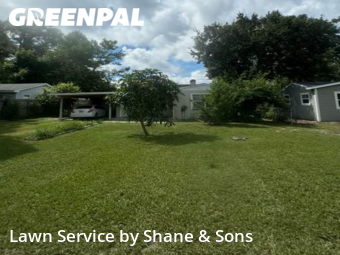 Yard Mowing nearby St. Petersburg, FL, 