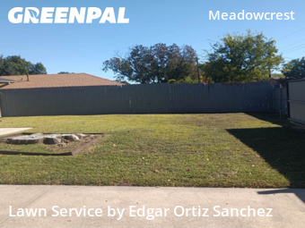 Lawn Cuttingin Plano,75074,Grass Cut by Edgar Ortiz Sanchez, work completed in Nov , 2025