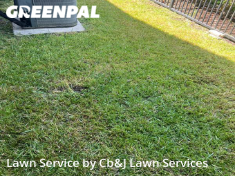 Grass Cutting nearby Missouri City, TX, 