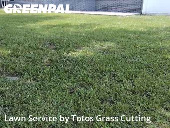 Lawn Cutin Altamonte Springs,32714,Lawn Care by Totos Grass Cutting, work completed in Nov , 2025