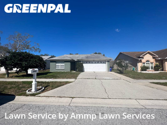 Grass Cutting nearby Palm Harbor, FL, 