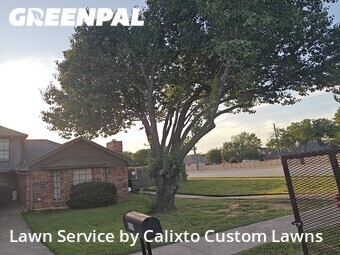 Lawn Cut nearby Bedford, TX, 