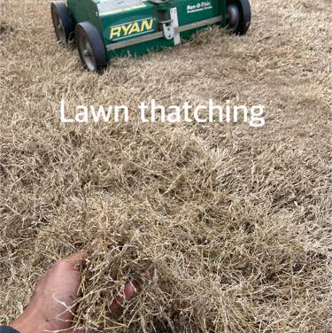 Lawn Mowing Contractor in Temple, TX, 76502