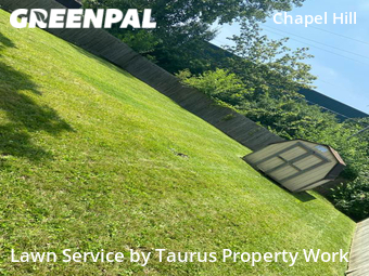 Lawn Cut nearby Indianapolis, IN, 