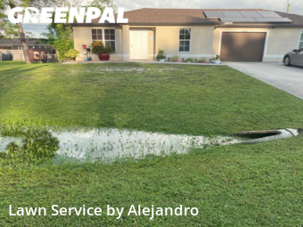 Lawn Care nearby Fort Myers, FL, 