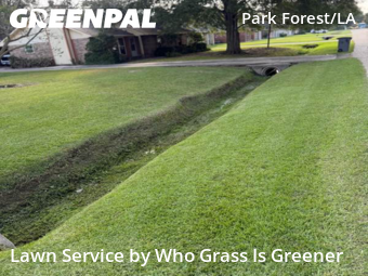 Landscaper In Baton Rouge,70819,Landscaping Services by Who Grass Is Greener, work completed in Nov , 2025
