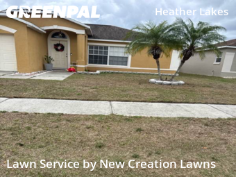 Garden Trimming in Brandon, 33511, Lawn Services by New Creation Lawns, work completed in Dec , 2025