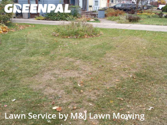 Grass Cut nearby Buffalo, NY, 