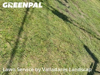 Lawn Carein Rosenberg,77469,Grass Cutting by Valladares Landscap, work completed in Jan , 2026