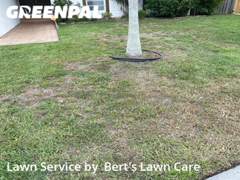 Lawn Service nearby Sunrise, FL, 