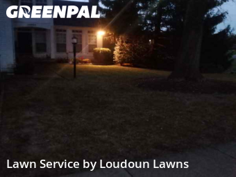 Lawn Cutting in Ashburn, 20147, Lawn Upkeep by Loudoun Lawns, work completed in Nov , 2025