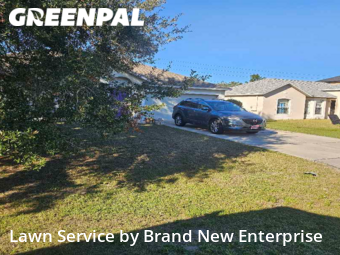 Grass Cut nearby Kissimmee, FL, 