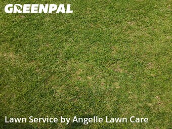 Grass Cutin Lafayette,70503,Lawn Service by Angelle Lawn Care , work completed in Jun , 2026