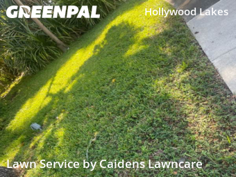 Lawn Carein Hollywood,33019,Lawn Cutting by Caidens Lawncare , work completed in Jan , 2026