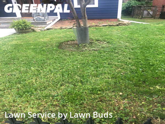 Grass Cutting nearby Charlotte, NC, 