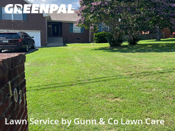 Lawn Cut nearby Mt. Juliet, GA, 
