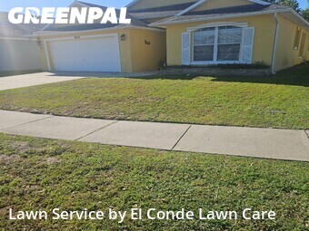 Grass Cut nearby Kissimmee, FL, 
