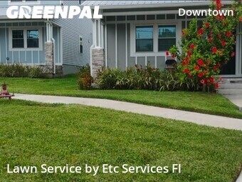 Grass Cutin Clearwater,33756,Lawn Cutting by Etc Services Fl, work completed in Jun , 2026