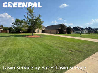 Grass Care in Benton, 71006, Yard Grooming by Bates Lawn Service, work completed in Nov , 2025