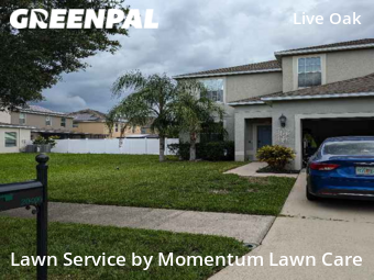 Lawn Care Service nearby Tampa, FL, 