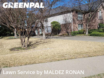 Lawn mowed in Rockwall, 75087