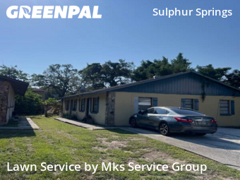 Lawn Care Service nearby Tampa, FL, 