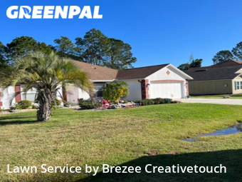 Lawn Mow nearby Palm Coast, FL, 