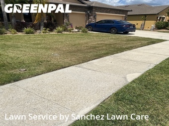 Lawn Mowing nearby Palmetto, FL, 